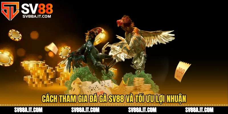 Cách tham gia Đá gà SV88 và tối ưu lợi nhuận