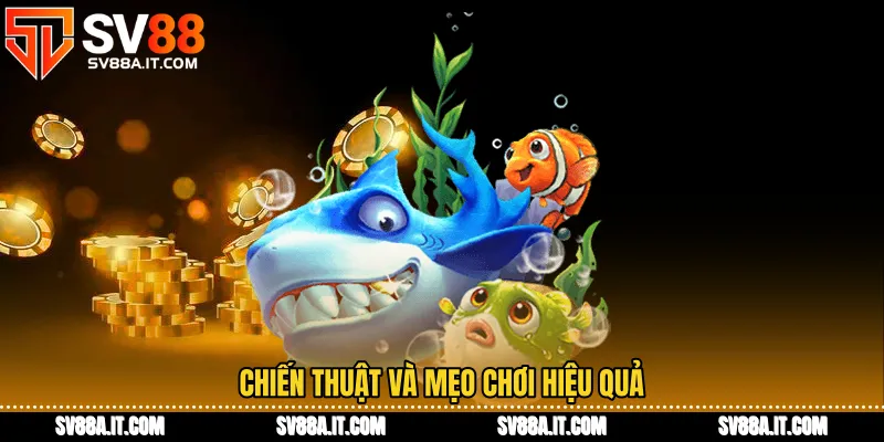 Chiến thuật và mẹo chơi hiệu quả