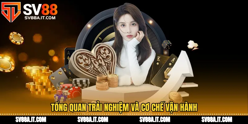 Tổng quan trải nghiệm và cơ chế vận hành