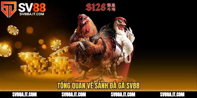 Tổng quan về sảnh đá gà SV88